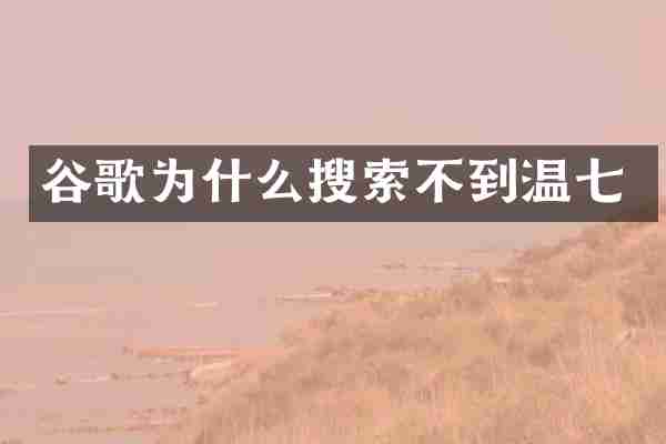 谷歌为什么搜索不到温七