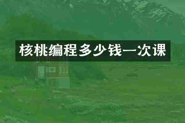 核桃编程多少钱一次课