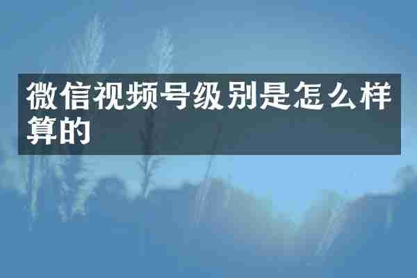 微信视频号级别是怎么样算的