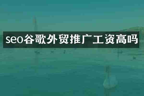 seo谷歌外贸推广工资高吗
