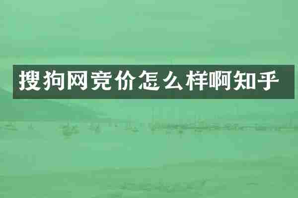 搜狗网竞价怎么样啊知乎