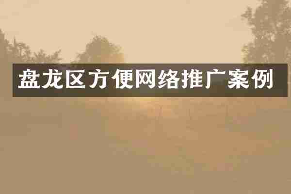 盘龙区方便网络推广案例