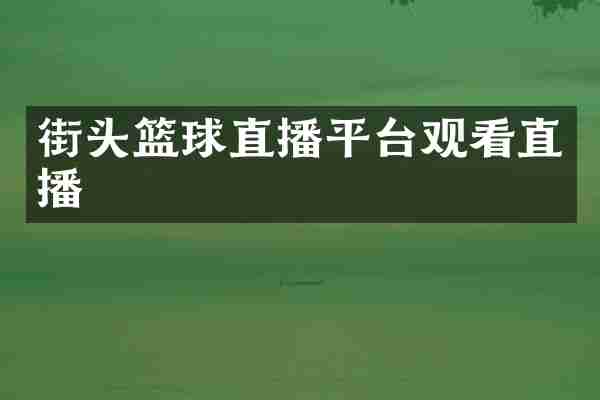 街头篮球直播平台观看直播
