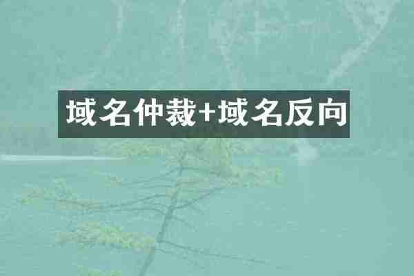 域名仲裁+域名反向