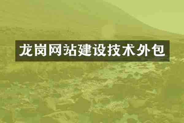 龙岗网站建设技术外包