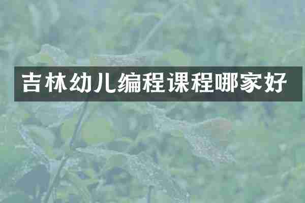 吉林幼儿编程课程哪家好