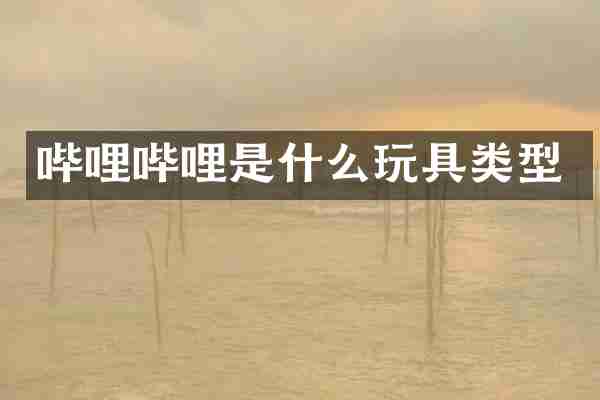 哔哩哔哩是什么玩具类型