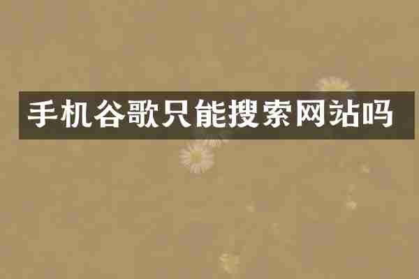 手机谷歌只能搜索网站吗