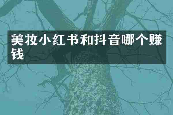 美妆小红书和抖音哪个赚钱