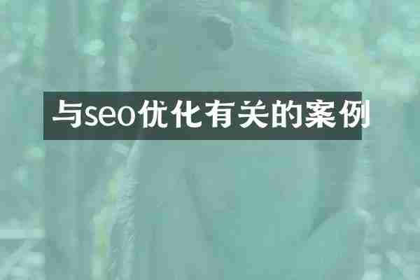 与seo优化有关的案例