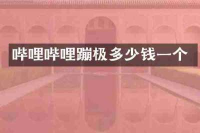哔哩哔哩蹦极多少钱一个