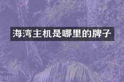海湾主机是哪里的牌子