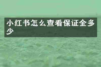 小红书怎么查看保证金多少