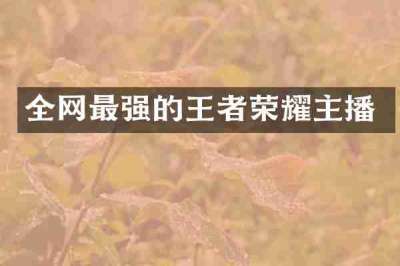 全网最强的王者荣耀主播