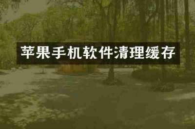 苹果手机软件清理缓存