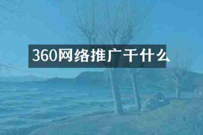 360网络推广干什么