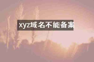 xyz域名不能备案