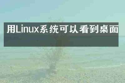 用Linux系统可以看到桌面吗