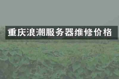 重庆浪潮服务器维修价格