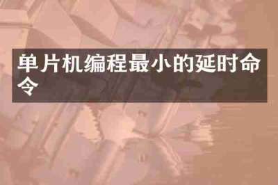 单片机编程最小的延时命令