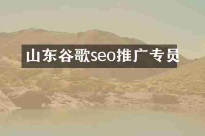 山东谷歌seo推广专员