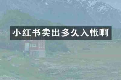 小红书卖出多久入帐啊