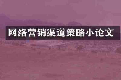 网络营销渠道策略小论文