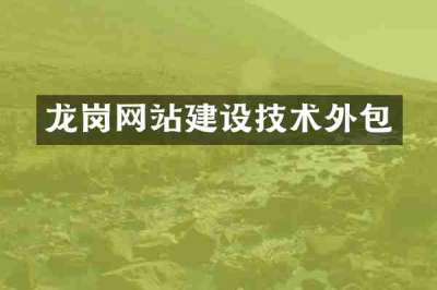 龙岗网站建设技术外包