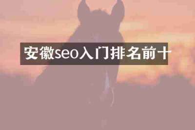 安徽seo入门排名前十