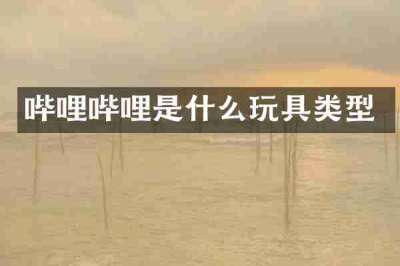 哔哩哔哩是什么玩具类型