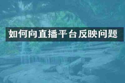 如何向直播平台反映问题