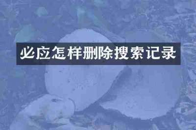 必应怎样删除搜索记录
