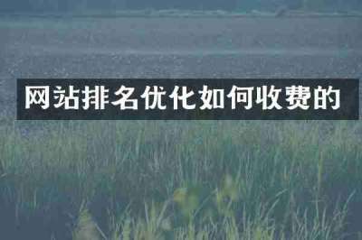 网站排名优化如何收费的