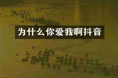 为什么你爱我啊抖音