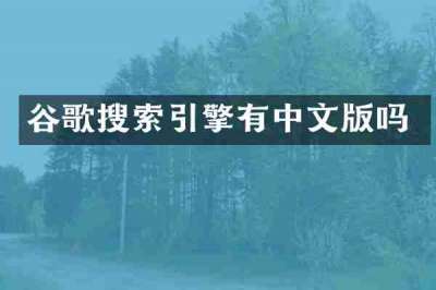 谷歌搜索引擎有中文版吗