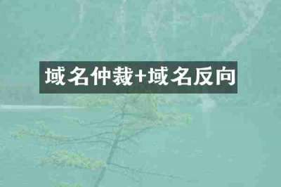 域名仲裁+域名反向