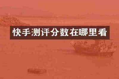 快手测评分数在哪里看