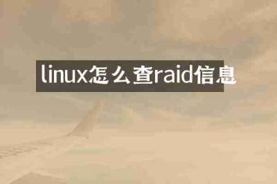linux怎么查raid信息
