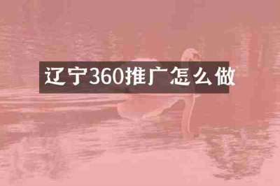 辽宁360推广怎么做