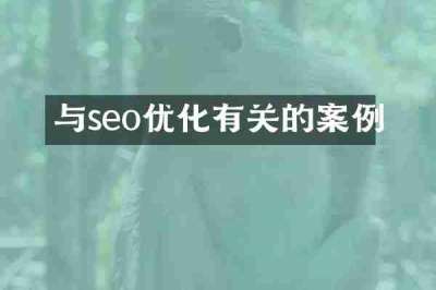 与seo优化有关的案例