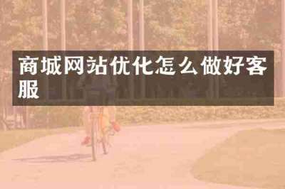 商城网站优化怎么做好客服