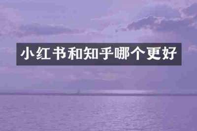 小红书和知乎哪个更好