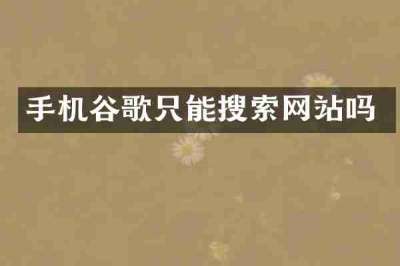 手机谷歌只能搜索网站吗