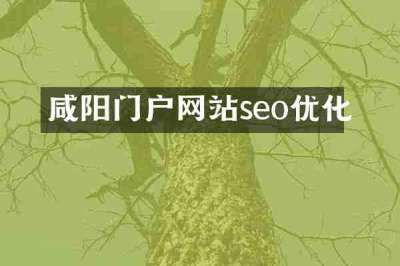 咸阳门户网站seo优化