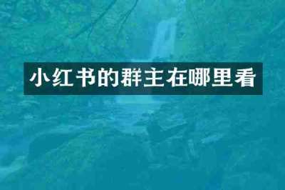 小红书的群主在哪里看