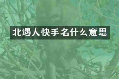 北遇人快手名什么意思