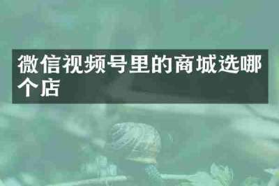 微信视频号里的商城选哪个店