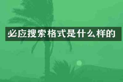 必应搜索格式是什么样的