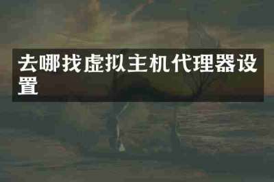 去哪找虚拟主机代理器设置