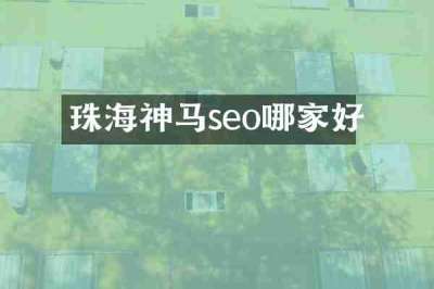 珠海神马seo哪家好